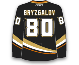 Ilya Bryzgalov's Jersey Ilya Bryzgalov's Jersey