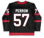 David Perron