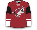 Marian Hossa's Jersey Marian Hossa's Jersey