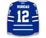 Stephane Robidas's Jersey Stephane Robidas's Jersey