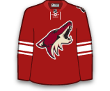 Pavel Datsyuk's Jersey Pavel Datsyuk's Jersey