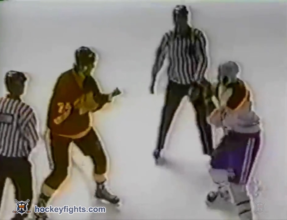 Bob Probert vs Donald Brashear